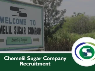 Chemelil Sugar Company Recruitment 2024/2025 Jobs in Kenya