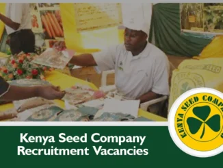 Kenya Seed Company Recruitment 2024/2025 KSC Jobs in Kenya